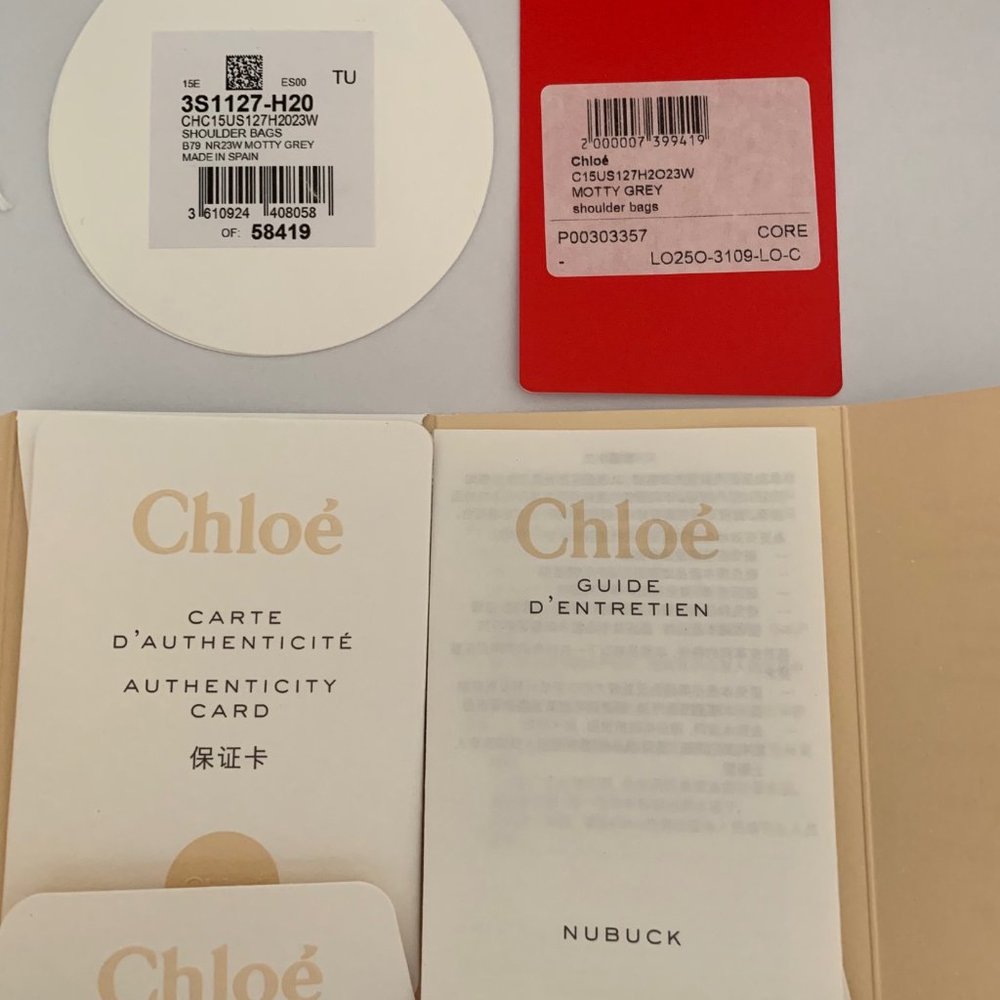(SOLD) Chloé Small Faye Shoulder Bag, Motty Grey - Picture 13 of 14
